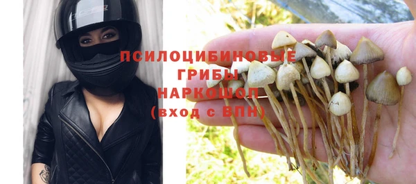 jwh Аркадак