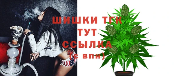 трава Снежинск