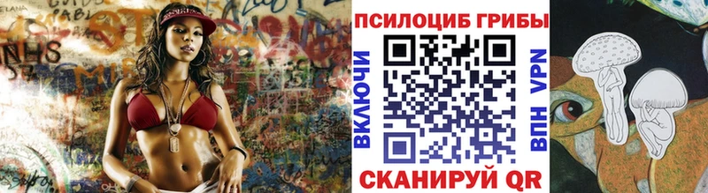 блэк спрут зеркало  купить наркотики цена  Багратионовск  Галлюциногенные грибы прущие грибы 