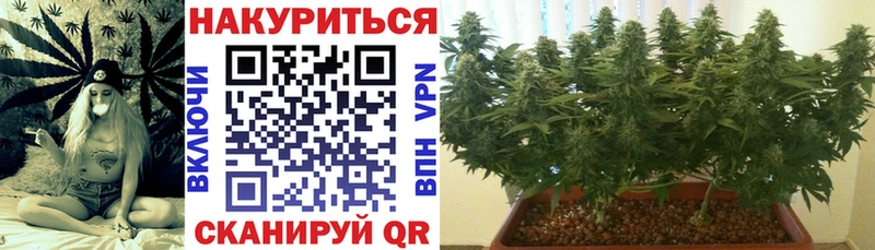 Каннабис Ganja Багратионовск